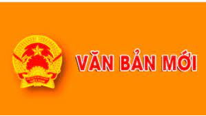 Quy định quản lý nhà nước về thanh niên trên địa bàn tỉnh Bình Định