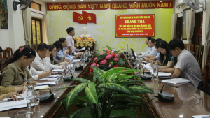 Đồng chí Trần Hữu Thảo, Thị ủy viên, Phó Chủ tịch UBND thị xã Hoài Nhơn báo cáo kết quả triển khai thực hiện công tác thi đua, khen thưởng năm 2020,2021