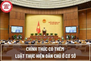 Luật Thực hiện dân chủ ở cơ sở.