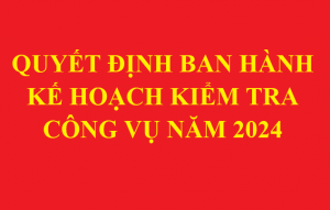 Quyết định ban hành Kế hoạch kiểm tra công vụ trên địa bàn tỉnh Bình Định năm 2024.