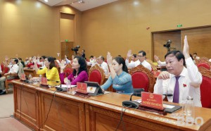 HĐND tỉnh biểu quyết thông qua chủ trương sắp xếp đơn vị hành chính trên địa bàn tỉnh Bình Định giai đoạn 2023-2025