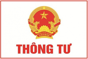 Ban hành Thông tư 06/2024/TT-BNV sửa đổi Thông tư 12/2022/TT-BNV của Bộ Nội vụ.