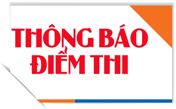 Thông báo kết quả điểm thi kỳ thi nâng ngạch công chức lên chuyên viên chính tỉnh Bình Định năm 2023