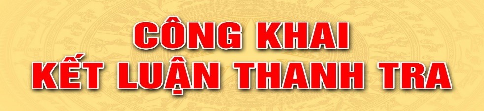 Thông báo về việc công khai Kết luận thanh tra công tác nội vụ tại thị xã An Nhơn.