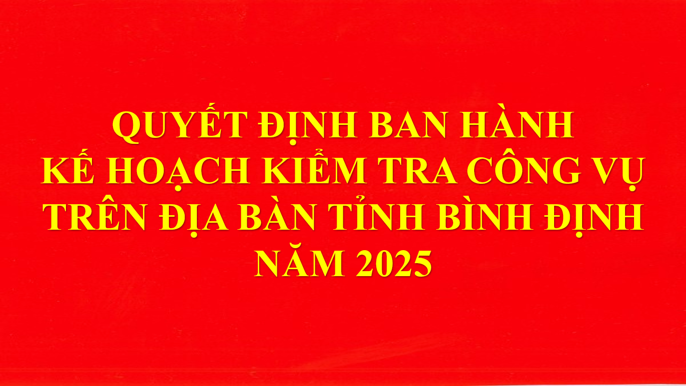 Quyết định phê duyệt Kế hoạch kiểm tra công vụ trên địa bàn tỉnh Bình Định năm 2025.