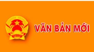 Ban hành Quy định tạm thời chức năng, nhiệm vụ, quyền hạn và cơ cấu tổ chức của Sở Nội vụ tỉnh Bình Định.